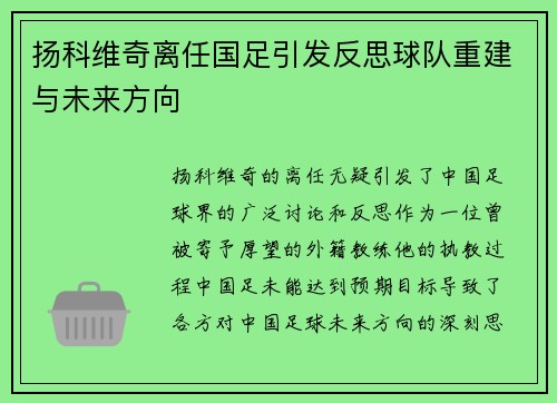扬科维奇离任国足引发反思球队重建与未来方向 扬科维奇离任国足引发反思球队重建与未来方向